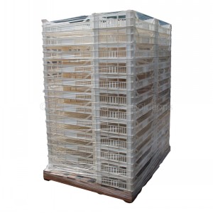 Potato & Vegetable Trays Plastic Allibert Type